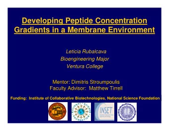 Developing Peptide Concentration  Gradients in a Membrane Environment  Leticia Rubalcava