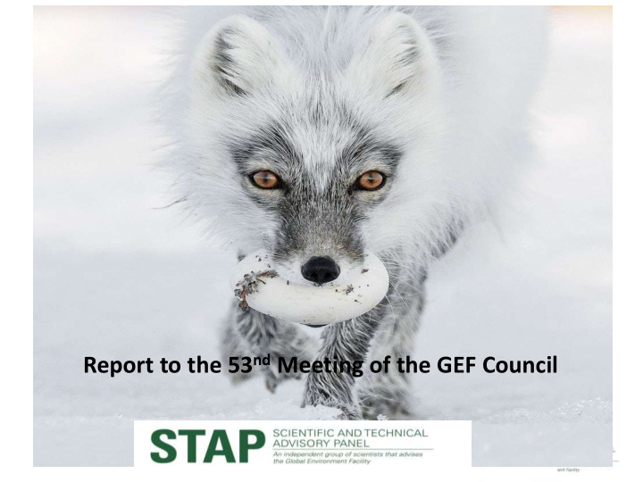 report to the 53 nd meeting of the gef council red fox