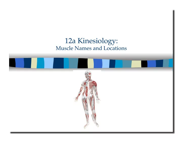 12a kinesiology