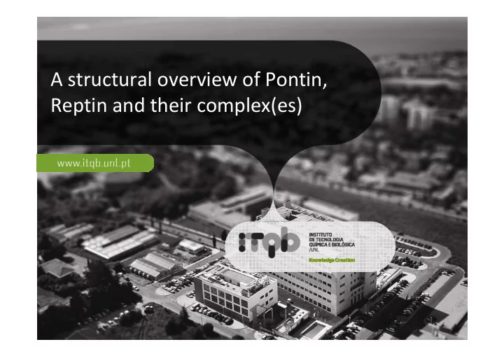 a structural overview of pontin reptin and their complex