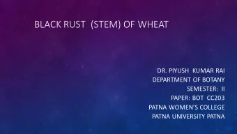 BLACK RUST  (STEM) OF WHEAT  DR. PIYUSH  KUMAR RAI  DEPARTMENT OF BOTANY  SEMESTER:  II  PAPER: BOT