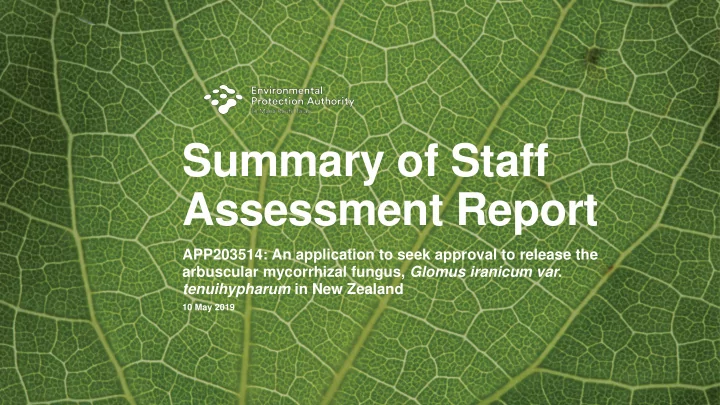 summary of staff assessment report