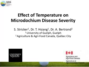 Effect of Temperature on  Microdochium Disease Severity S. Stricker 1 , Dr. T. Hsiang 1 , Dr. A.