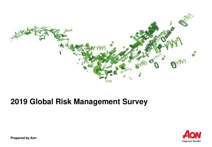 2019 global risk management survey