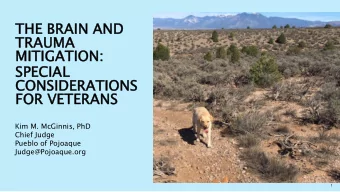 TRAUMA  A  MITIGAT  IGATION  ION:  :  SP  SPEC  ECIAL  CO  CONS  NSIDER  DERATIONS  IONS  FOR VET