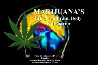 MARIJUANAS  Effects on Brain, Body  &amp; Behavior  Nora D. Volkow, M.D.  Director  National