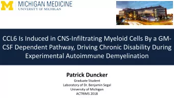 CCL6 Is Induced in CNS-Infiltrating Myeloid Cells By a GM-  CSF Dependent Pathway, Driving Chronic