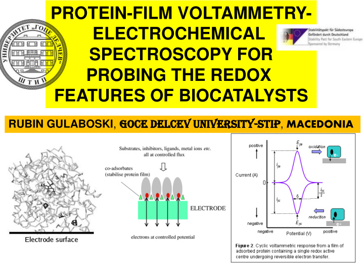 protein film voltammetry
