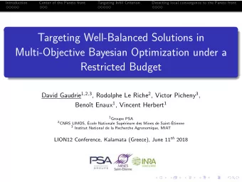 Targeting Well-Balanced Solutions in  Multi-Objective Bayesian Optimization under a  Restricted