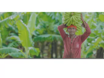 Feed the Future  Innovation Lab for  Crop Improvement  Informational  Webinar  Welcome and