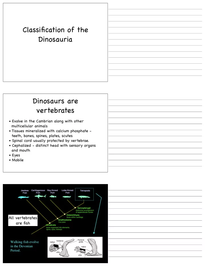 classification of the dinosauria dinosaurs are vertebrates