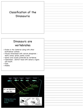 Classification of the  Dinosauria  Dinosaurs are  vertebrates  Evolve in the Cambrian along with