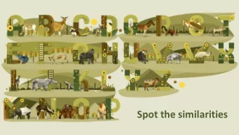 Spot the similarities  Red ruffed lemur: Threatened  Cottontop Tamarin: Estimated  Addax: Less than