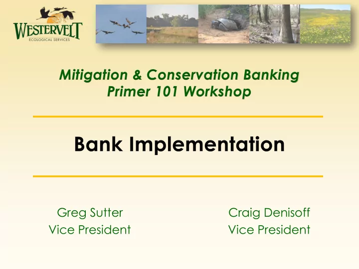greg sutter craig denisoff vice president vice president