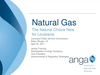 Natural Gas  The Natural Choice Now  for Louisiana  Louisiana Public Service Commission  Baton