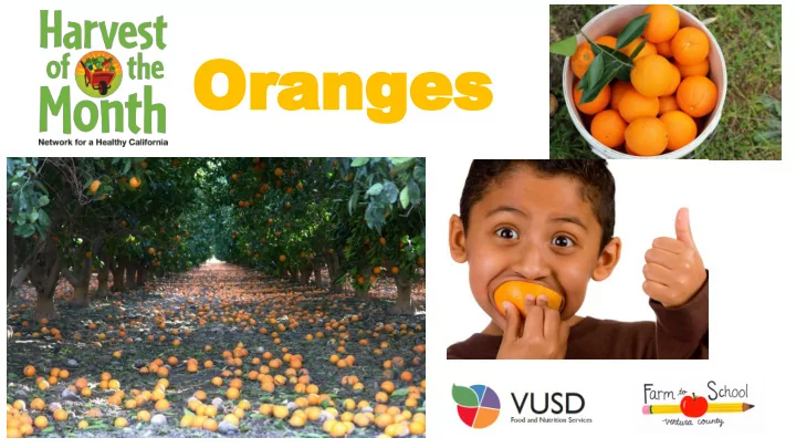 oranges o o o o reasons to eat