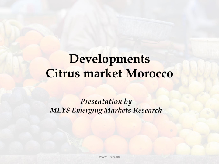 developments citrus market morocco