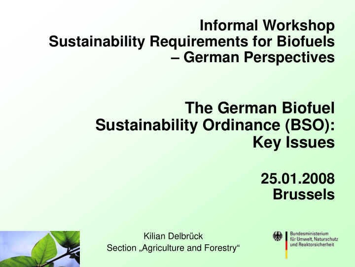 the german biofuel sustainability ordinance bso key issues