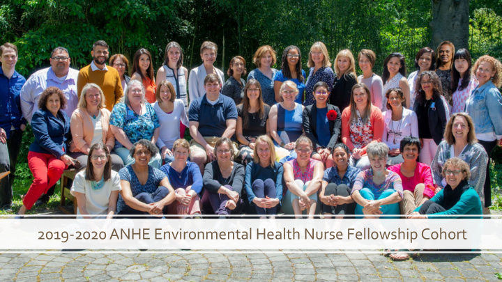 2019 2020 anhe environmental health nurse fellowship