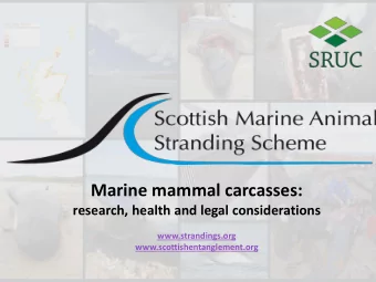 Marine mammal carcasses:  research, health and legal considerations  www.strandings.org