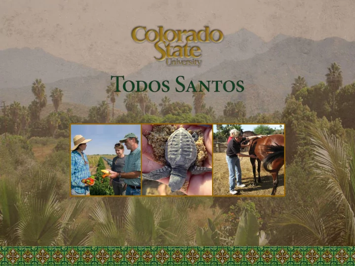 csu todos santos center