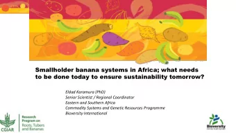 Smallholder banana systems in Africa; what needs  to be done today to ensure sustainability