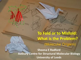 To Fold or to Misfold:  What is the Problem?  (Molecular Origami)  Sheena E Radford  Astbury Centre