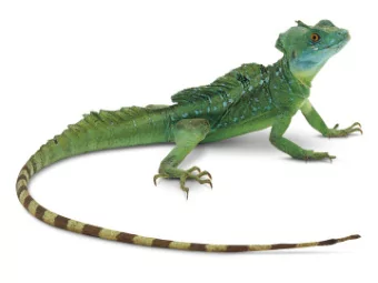 Ah, science.  Coastal Flooding graphic courtesy of Climate Education Partners  USGS Coastal Storm