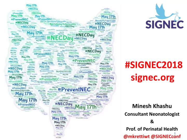 signec2018 signec org