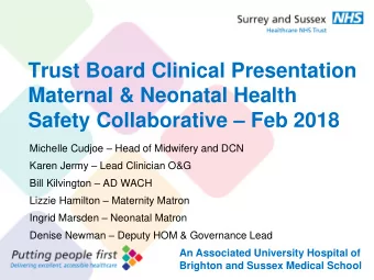 Maternal &amp; Neonatal Health Safety Collaborative  Feb 2018 Michelle Cudjoe  Head of
