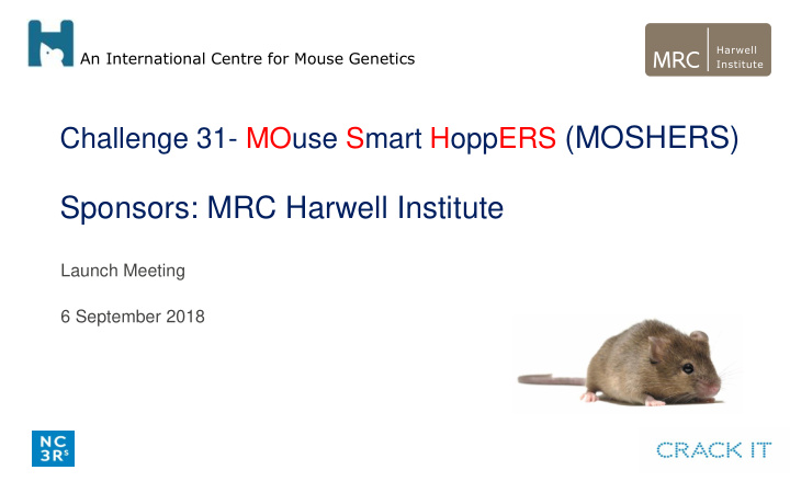 challenge 31 mouse smart hoppers moshers
