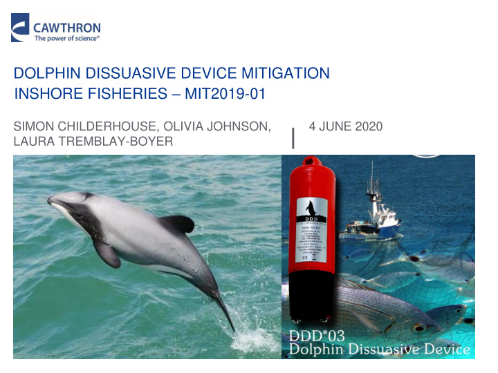 dolphin dissuasive device mitigation inshore fisheries