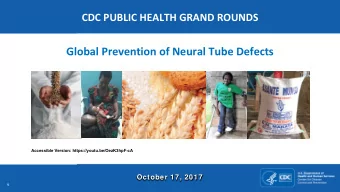 Global Prevention of Neural Tube Defects  Accessible Version: https://youtu.be/OezK3hpF-cA  October