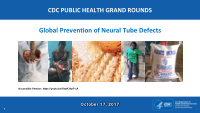 global prevention of neural tube defects
