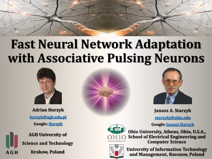fast neural network adaptation