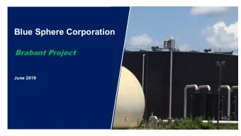 Blue Sphere Corporation  Brabant Project  June 2019  The Industry    Waste to Energy industry