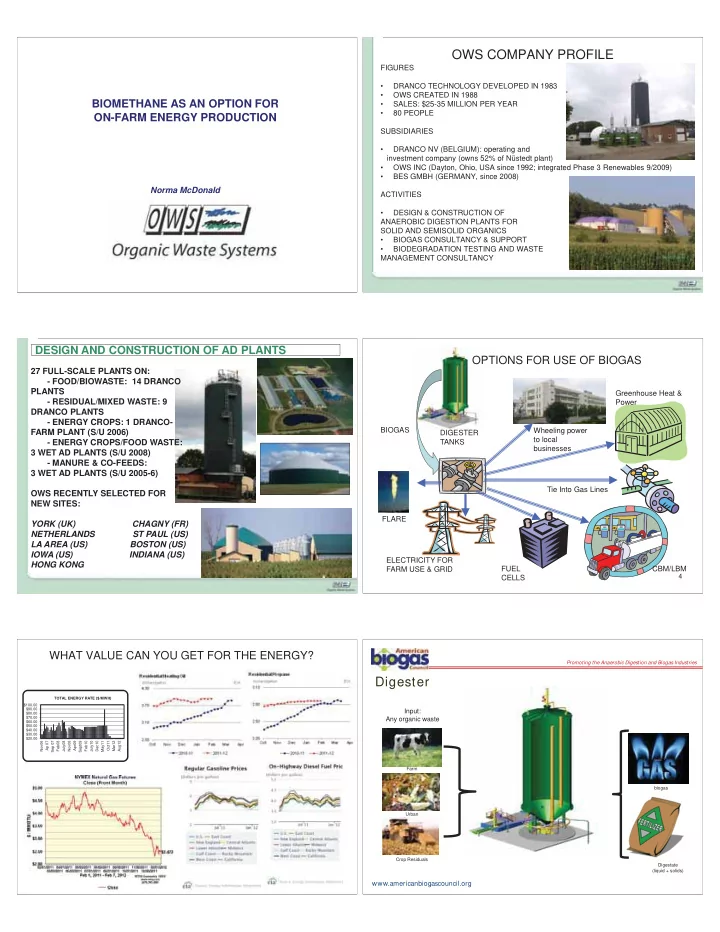 ows company profile