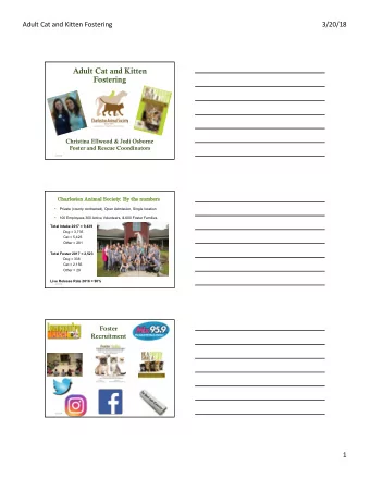 Adult Cat and Kitten  Fostering  Christina Ellwood &amp; Jodi Osborne  Foster and Rescue