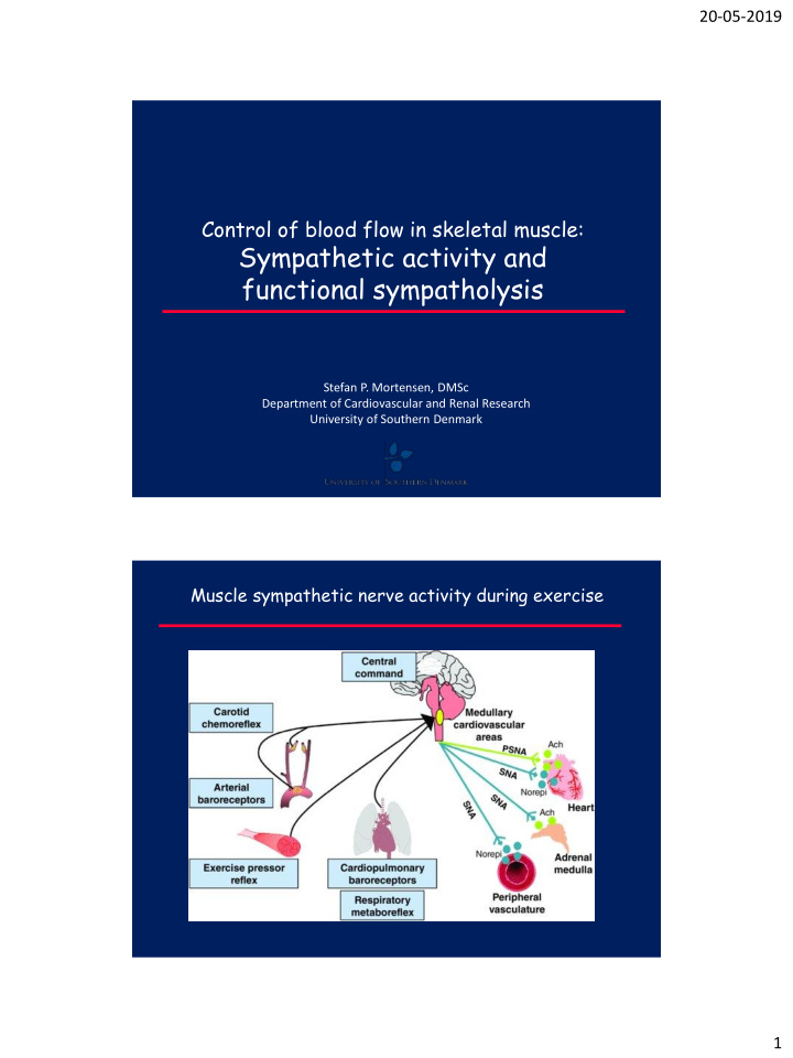 sympathetic activity and functional sympatholysis