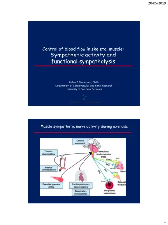 Sympathetic activity and  functional sympatholysis  Stefan P. Mortensen, DMSc  Department of