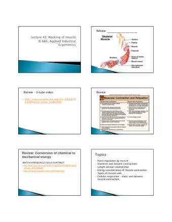 Topics  Topics  mechanical energy  Force regulation by muscle  WATCH HOW MUSCLE CELLS CONTRACT