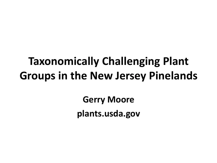 groups in the new jersey pinelands