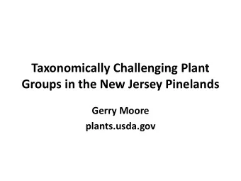 Groups in the New Jersey Pinelands  Gerry Moore  plants.usda.gov  What is a taxonomically