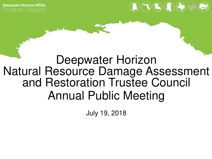 deepwater horizon natural resource damage assessment and