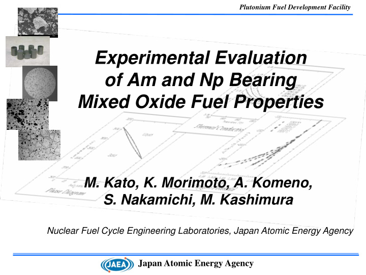 experimental evaluation of am and np bearing mixed oxide