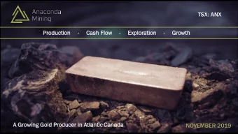 TSX: ANX  TSX:ANX  Productio  tion    Cash  h Flow  w    Exploratio  tion    Growth  wth  A