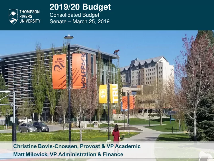 2019 20 budget