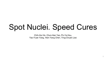 Spot Nuclei. Speed Cures  Chih-Hui Ho, Chun-Han Yao, Po-Ya Hsu,  Yao-Yuan Yang, Hsin-Yang Chen,