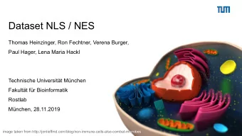 Dataset NLS / NES  Thomas Heinzinger, Ron Fechtner, Verena Burger,  Paul Hager, Lena Maria Hackl