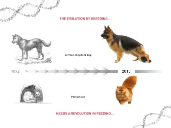 1872  2015  Persian cat  NEEDS A REVOLUTION IN FEEDING...  GENETICALLY  ADEQUATE  PET FOOD  THE NEW